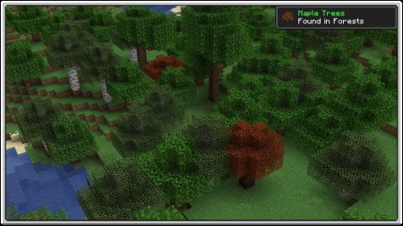  Premium Wood  Minecraft 1.15.2