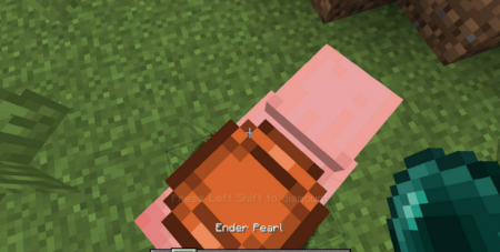  Mounted Pearl  Minecraft 1.16.1