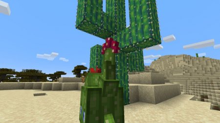  Riftstorm  Minecraft 1.15.1