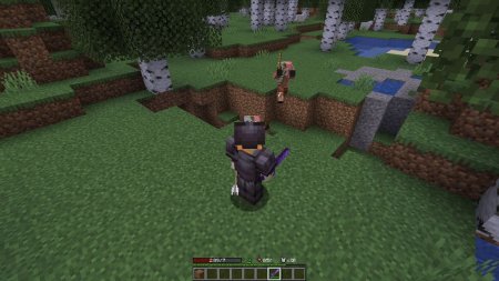  Player Ex  Minecraft 1.16.3