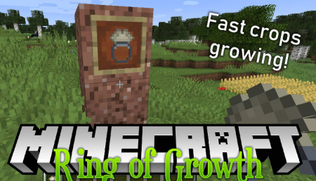 Ring of Growth  Minecraft 1.16.4