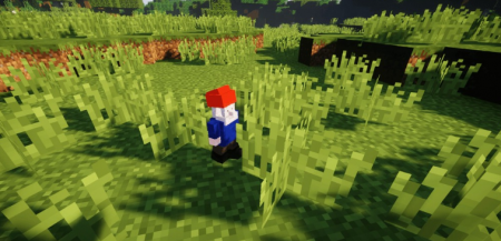  Gnomed  Minecraft 1.16.5