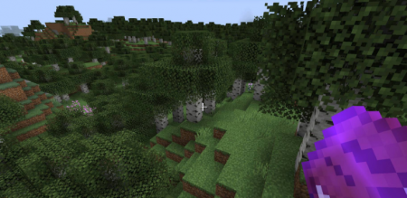  Runelic  Minecraft 1.16.5