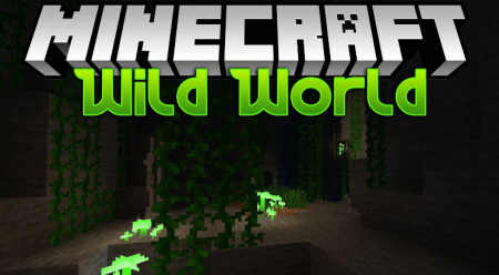  Wild World  Minecraft 1.16.4