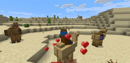  Camels  Minecraft 1.16.4
