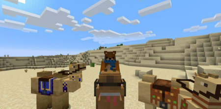  Camels  Minecraft 1.16.4