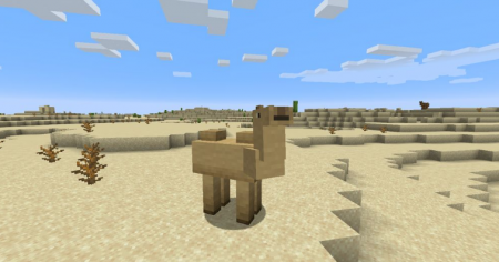  Camels  Minecraft 1.16.5