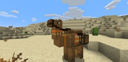  Camels  Minecraft 1.16.5