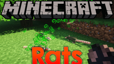  Rats  Minecraft 1.16.4