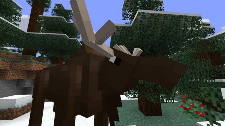  Alaska Native  Minecraft 1.16.1