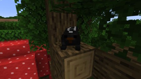  Skunks  Minecraft 1.16.4