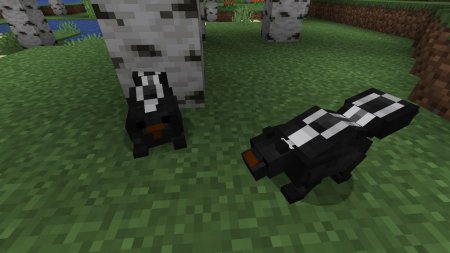  Skunks  Minecraft 1.16.4