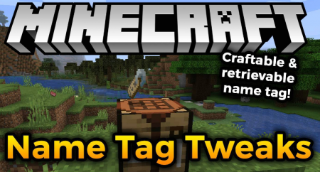  Name Tag Tweaks  Minecraft 1.16.4