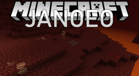  JANOEO  Minecraft 1.16.4