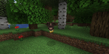  Direbats  Minecraft 1.16.1