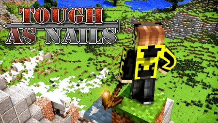 Скачать Tough As Nails для Minecraft 1.16.4