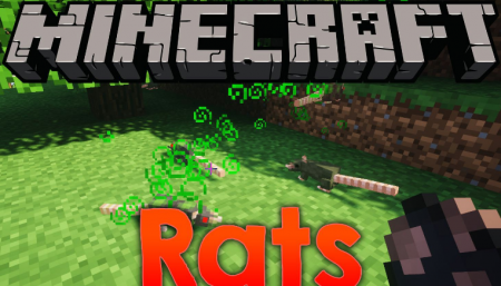  Rats  Minecraft 1.14.3