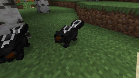  Skunks  Minecraft 1.16.1