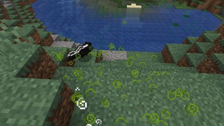  Skunks  Minecraft 1.16.1