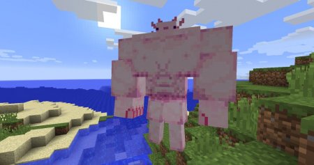  Buffxolotl  Minecraft 1.12