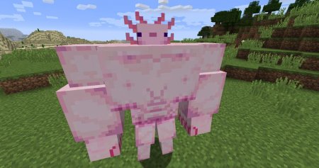  Buffxolotl  Minecraft 1.12