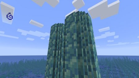  Aquatic Additions  Minecraft 1.16.1