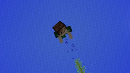  Aquatic Additions  Minecraft 1.16.2