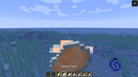  Aquatic Additions  Minecraft 1.16.2