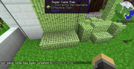  Quark  Minecraft 1.16.2