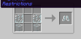  Restrictions  Minecraft 1.16.4