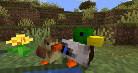  Untitled Duck  Minecraft 1.16.5