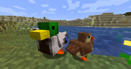  Untitled Duck  Minecraft 1.16.5