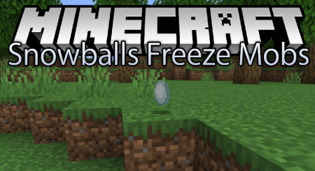  Snowballs Freeze Mobs  Minecraft 1.16.4