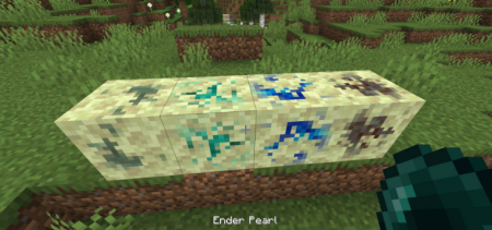  Ender Enhancement  Minecraft 1.16.4