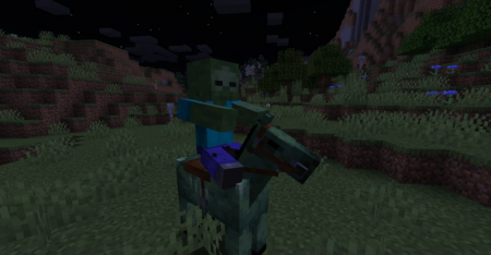  Zombie Horse Spawn  Minecraft 1.16.4