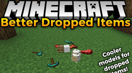 Скачать Better Dropped Items для Minecraft 1.16.5