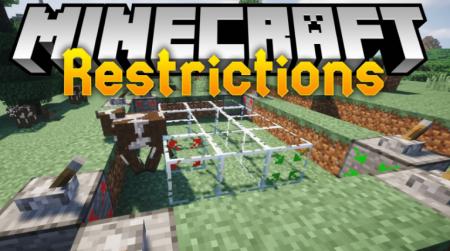  Restrictions  Minecraft 1.16.4