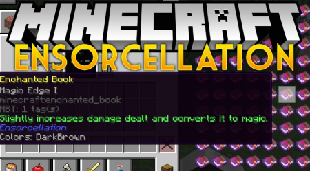  Ensorcellation  Minecraft 1.16.4