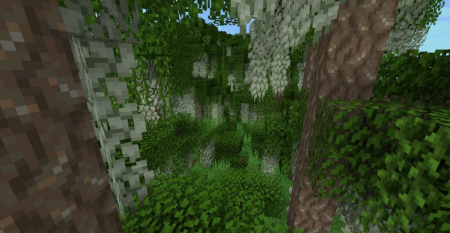  Bayou Blues  Minecraft 1.16.3