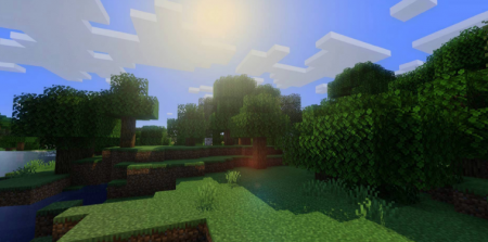  OptiForge  Minecraft 1.16.4