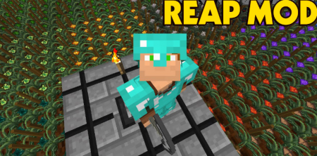  Reap  Minecraft 1.16.4