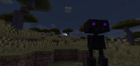  Lurker  Minecraft 1.16.4