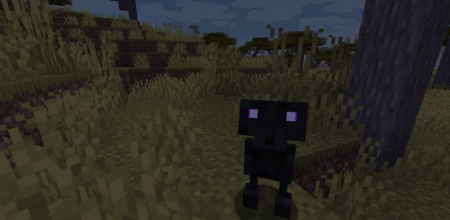  Lurker  Minecraft 1.16.4