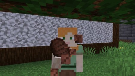  Not Enough Animations  Minecraft 1.16.1