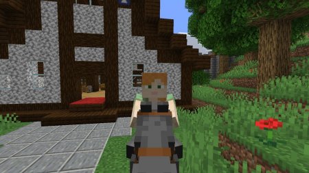  Not Enough Animations  Minecraft 1.16.1