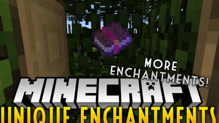  Unique Enchantments  Minecraft 1.14.4