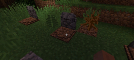  EuhDawsons GraveStone  Minecraft 1.14.2