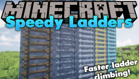  Speedy Ladders  Minecraft 1.15.1