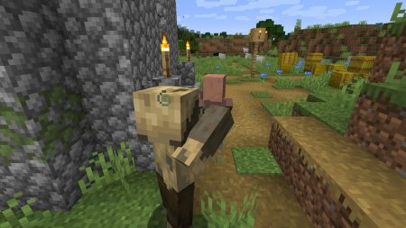  Husk Spawn  Minecraft 1.15.1