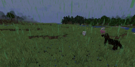  Better Weather  Minecraft 1.16.4